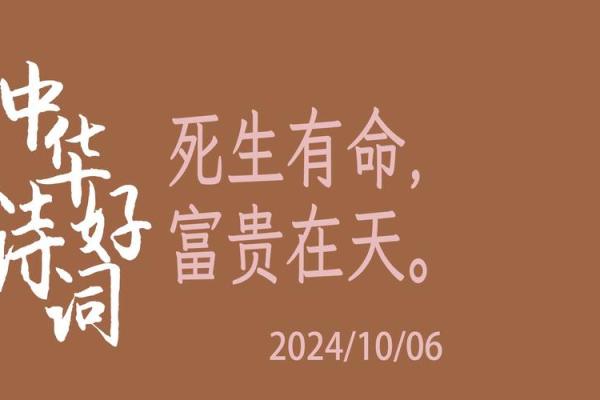 探索天命、地命与年命：揭示命运的奥秘与智慧