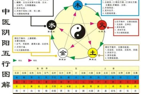 辛亥日生人与五行命理，揭秘人生的运势与命格！