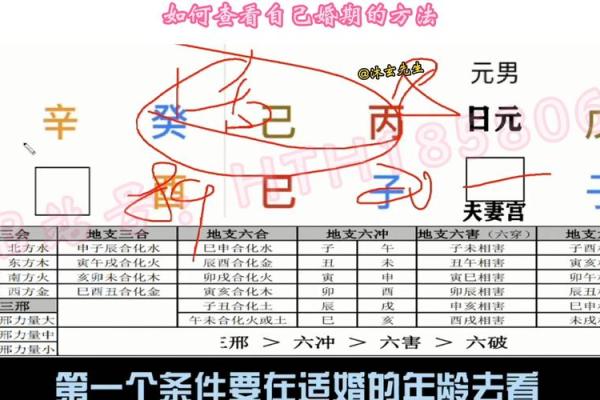 探秘四柱八字：命运的密码与人生的启示