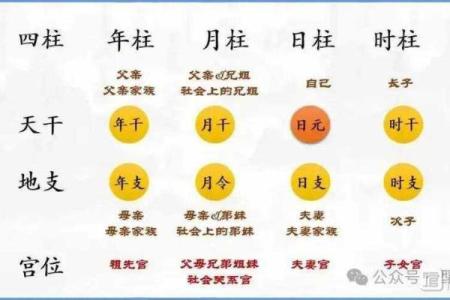 水命女性与合适男士的命理搭配分析