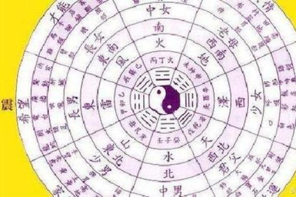 许星照命：探索命理与人生的神秘连接
