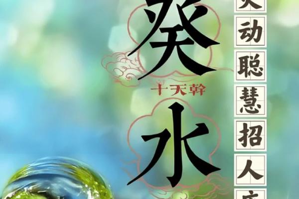五行水命人的运势解析：如何顺风顺水，鱼跃龙门！