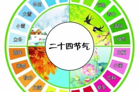 探索辛未、辛卯、癸卯、癸丑男命的命理奥秘与人生启示