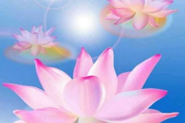 午时出生的羊女命运解读：温柔与活力的完美结合