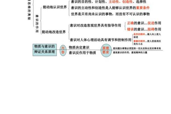 为什么有的人命运不同？揭秘生命背后的奥秘与哲学