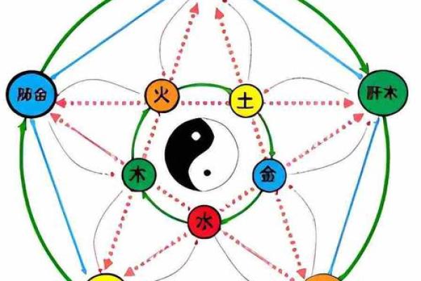 五行属木之人的命运解析与生活启示