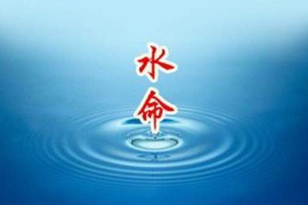 水命男人的职业选择：最适合的工作与发展方向