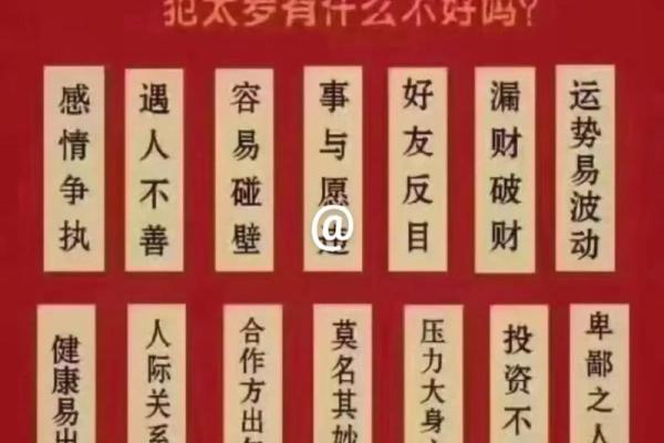 为属龙木命男孩起名的智慧与艺术