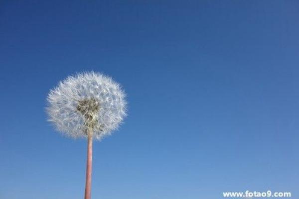 探寻阳历8月31日出生者命理特征与人生轨迹