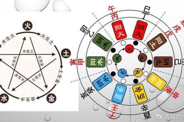 探索农历八月十七命运的奥秘：如何解读你的五行与性格
