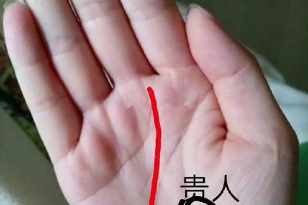 探寻手相信命的人：命运之路的掌控与随缘