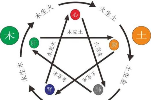 探索五行命理：揭示生活的智慧与和谐之道