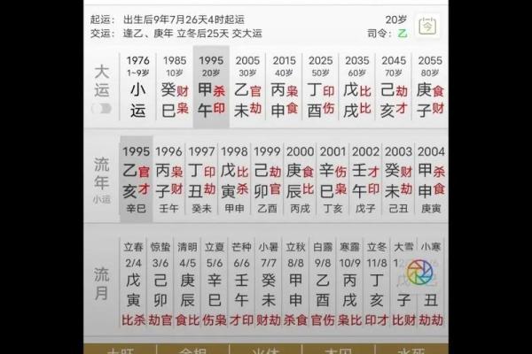 辛丑命与辛酉命的深刻解析：命理与个性之路的奇妙碰撞