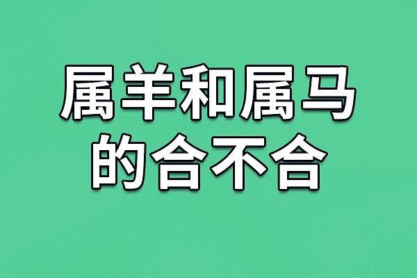 羊年8月出生的命运解析：性格、事业与爱情的秘密