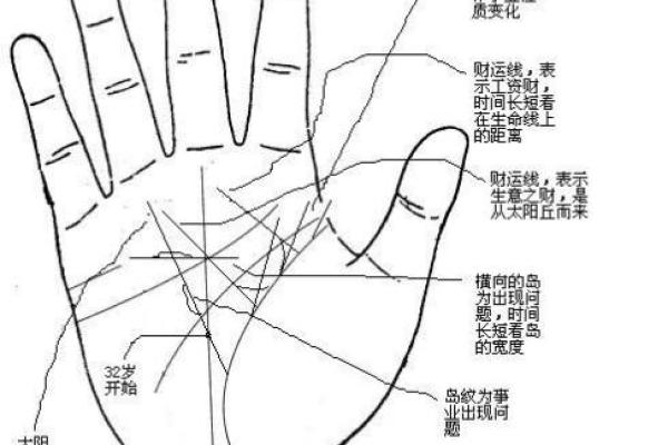 羊年8月出生的命运解析：性格、事业与爱情的秘密