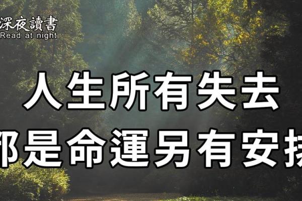探索命运的密码：1954年1月出生者的奇妙人生经历