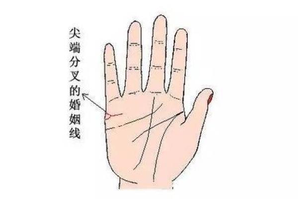 土财主命：探秘这命格的特征与人生轨迹