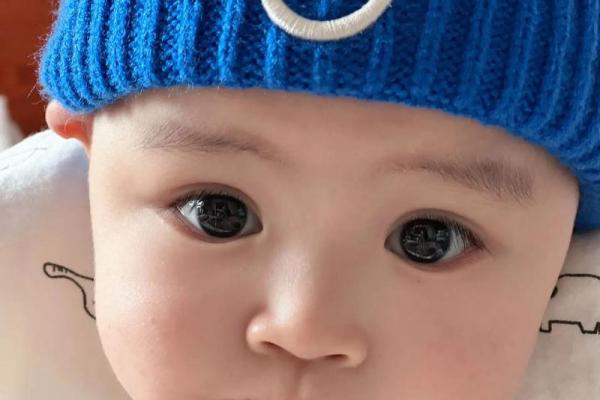五月出生的虎宝宝：如何解析命理与性格特征