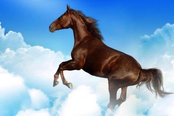 探秘三月马的命星与性格特点，发现你的内在潜能！