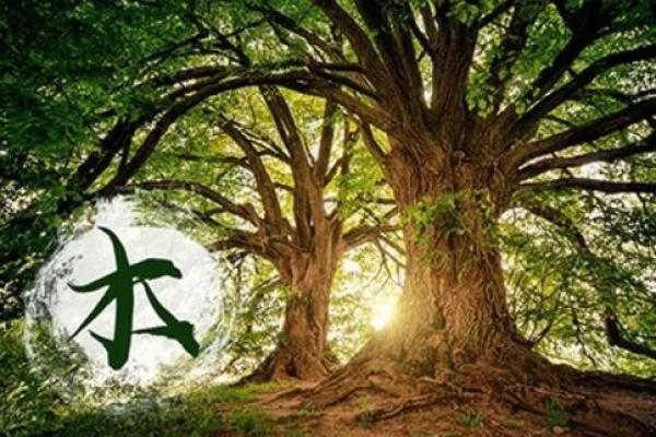 五行缺木火男的命格解析：如何弥补不足，拥抱未来