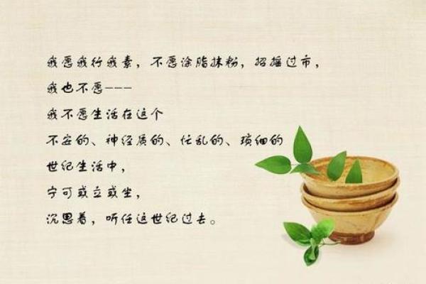 探索男命八字中的色彩密码，让你的人生更绚烂！