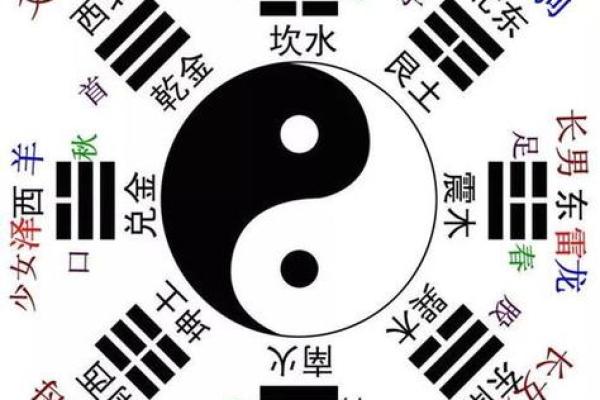 五行水命生肖解析：智慧与灵动的深邃人生