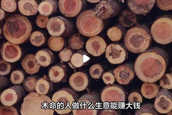 探索木命女性适合的创业项目与生意方向