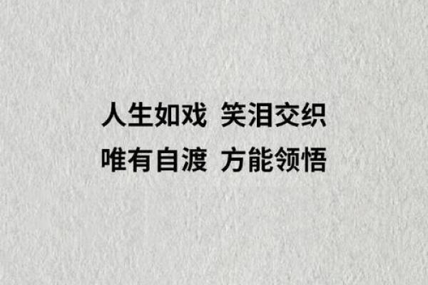无奈人生，命运如戏，笑尽悲愁何所依？