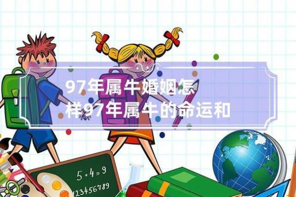 探索1997年属牛人的命运与性格特征：从生肖看人生智慧