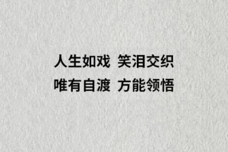 无奈人生，命运如戏，笑尽悲愁何所依？