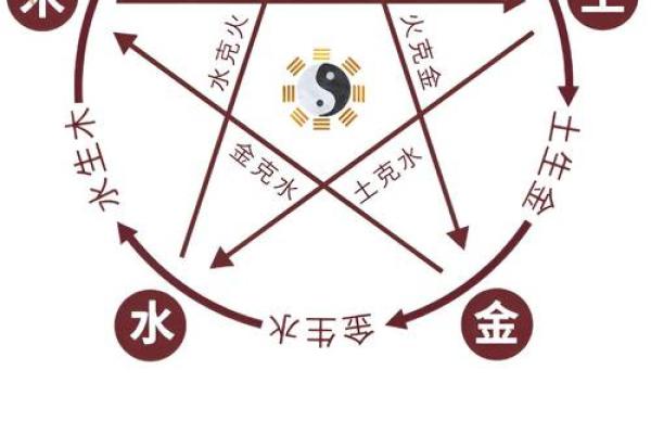 探索五行属性：木命与土命的属相解析与人生智慧