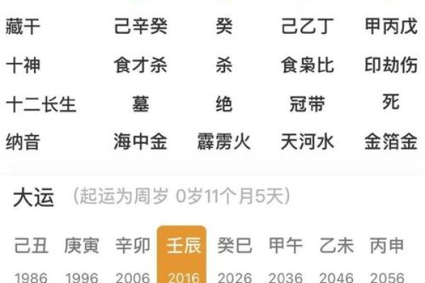 探秘戊子命：通往内心与精神的旅程