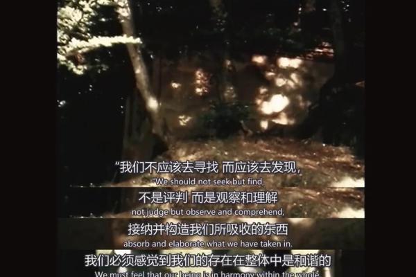 修道黑色的神秘寓意：黑色代表的命运与内在探索