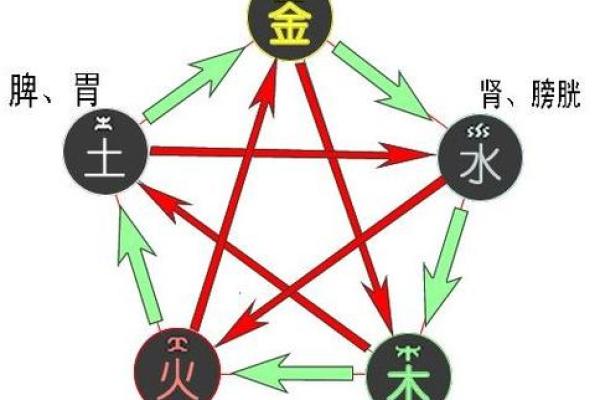 探秘五藏之火：属火命的人生旅程与命理启示