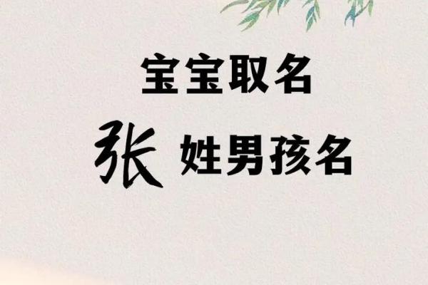为姓张的女孩取名秘籍，带你走进名字的美丽世界