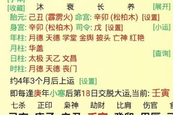 探索食伤在男命中的神秘象征与人生影响
