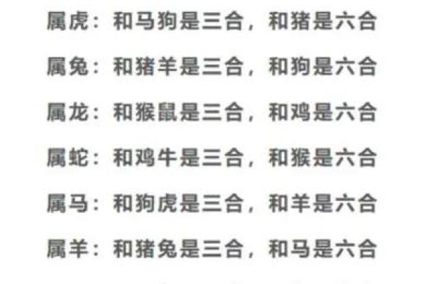 探索十二生肖与五行命理：深度解析你属于哪种命！