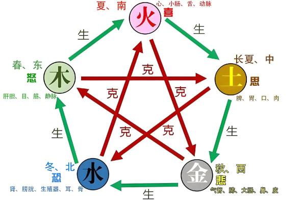 五行理论：命理中的自然之道与人生哲学
