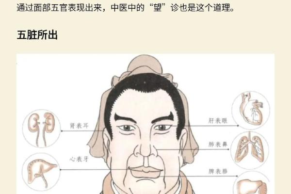 探寻五行之道：水命、火命、土命的独特魅力与应用价值