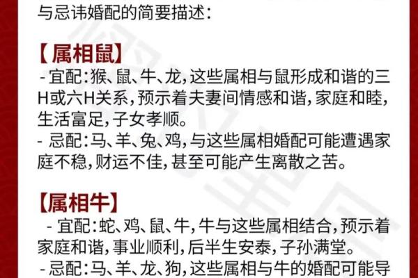 天上火与五行命理：最佳婚配揭晓！