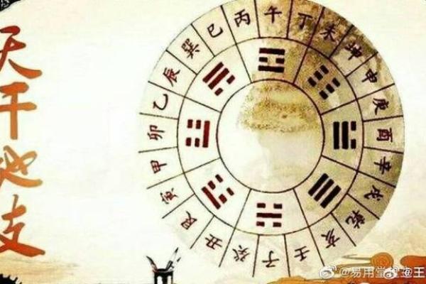 探秘月柱与月支：命运的两面镜子，揭示生命的秘密