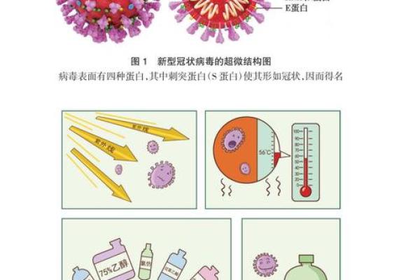 新型冠状病毒：不容忽视的疾病和防控挑战