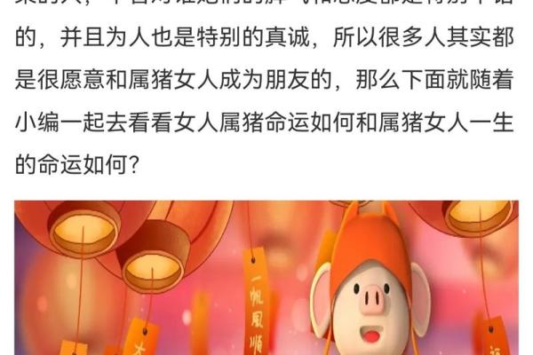 在猴林中玩乐，属猪人的命运揭秘！