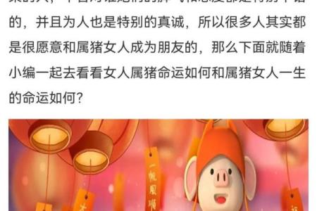 在猴林中玩乐，属猪人的命运揭秘！