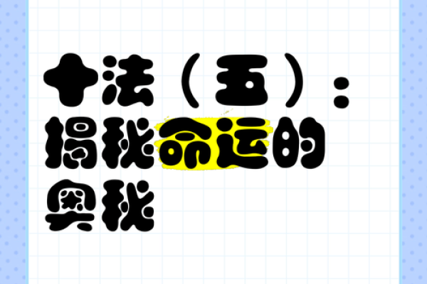 探寻命运的奥秘：我是什么命？