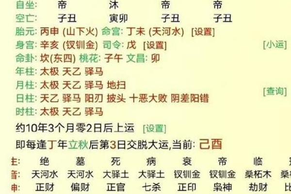 探秘透丙藏癸女命八字的独特解读与人生启示