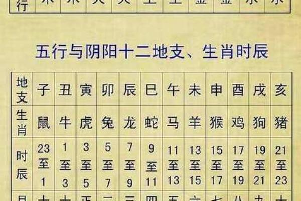探寻天干五行组合：解读你的命运密码与人生轨迹