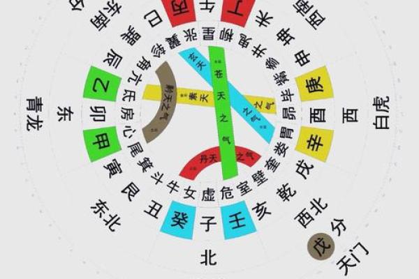 五行喜火木之命：探寻命理中的生生不息与和谐之道