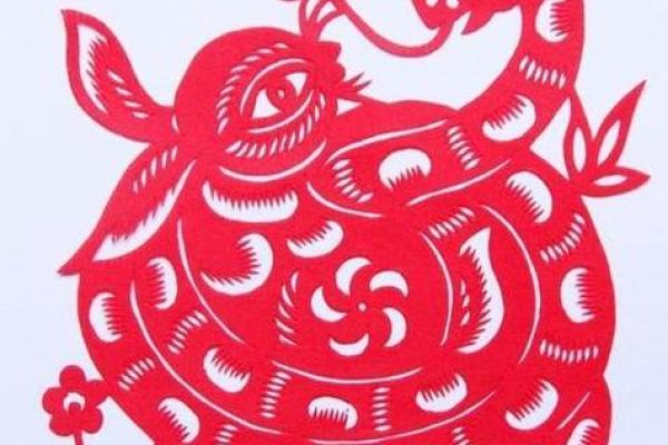 为何蛇与兔搭配，成就二婚命的绝佳组合？