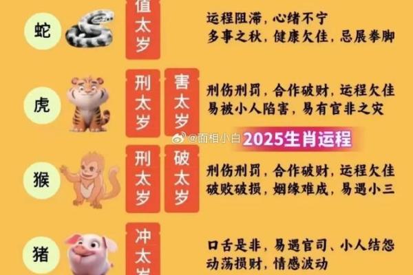 探索金命：揭秘十二生肖中的金命人如何塑造自己的未来